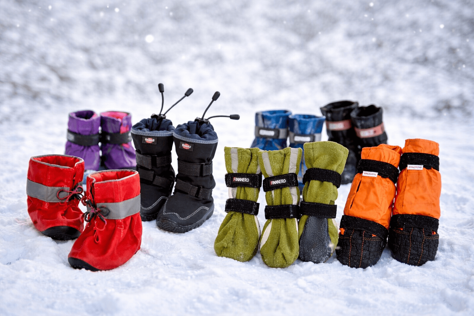 Flera vinterskor för hund i olika modeller och färger placerade i snö – jämförelse av hundskor med halkskydd, reflexer och varmfoder för vinterpromenader
