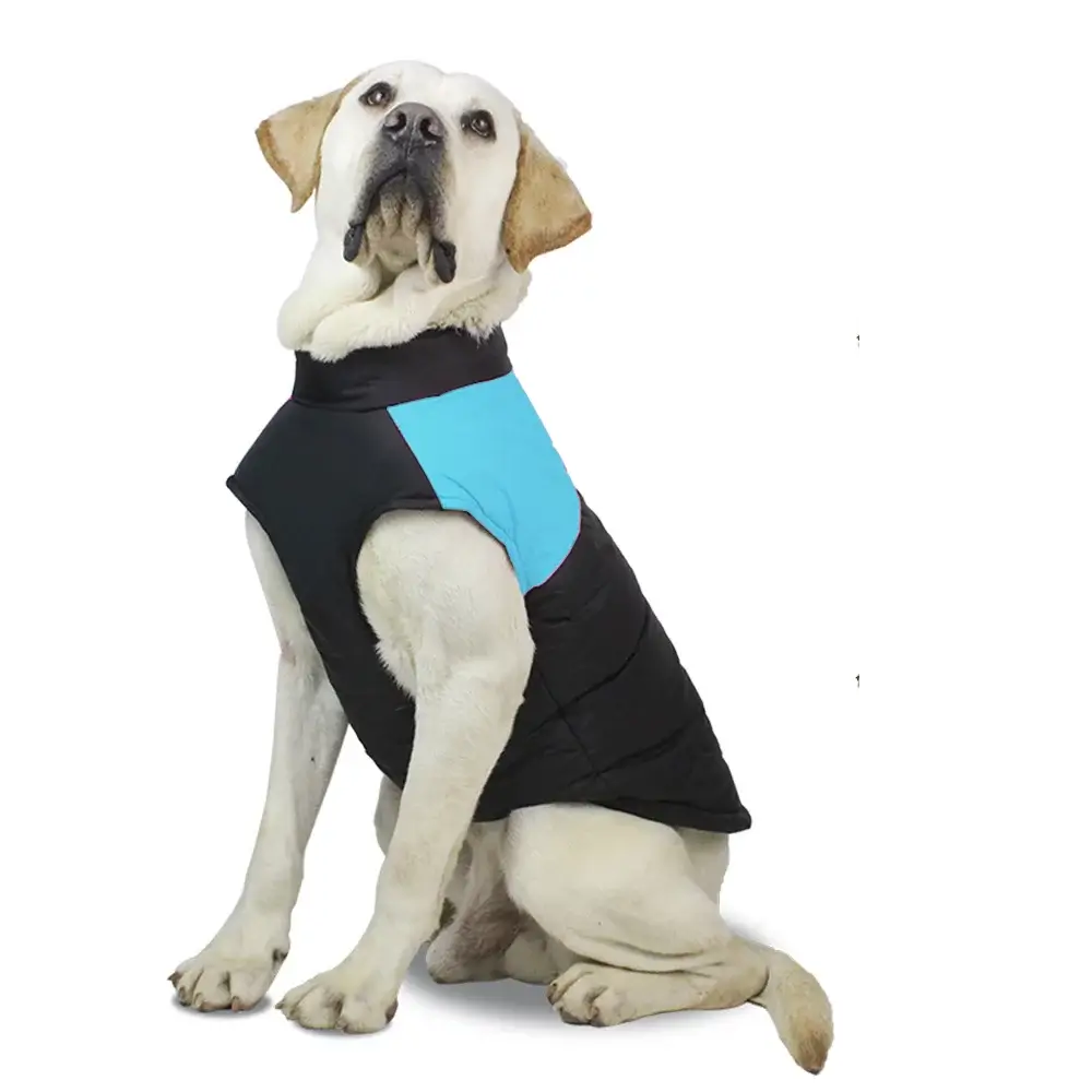 Hund med fodrad svart vinterjacka – varm och vindtät hundjacka med bekväm passform för kalla promenader.