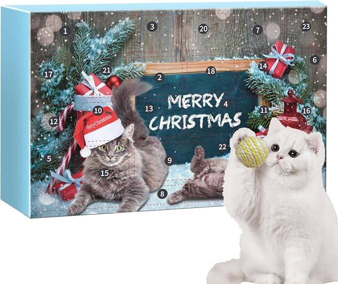 Julkalender för katt 2025 med 24 små leksaker och lekfulla överraskningar för hela december