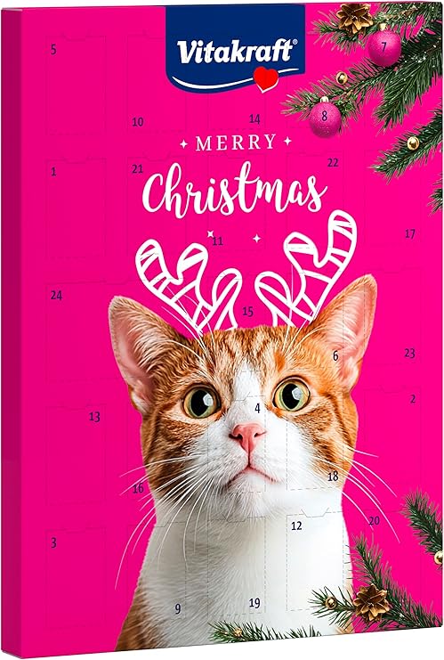 Vitakraft adventskalender för katter med 24 luckor fyllda med godsaker.