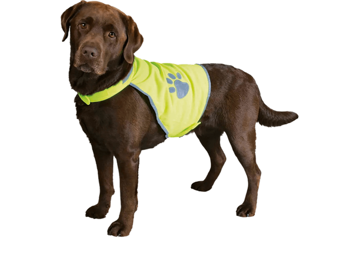 Trixie Safety Vest Neon reflexväst för hund i neonfärg med reflexdetaljer