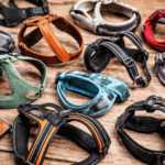 Samling av olika hundselar i olika färger och material, utlagda på ett träbord.