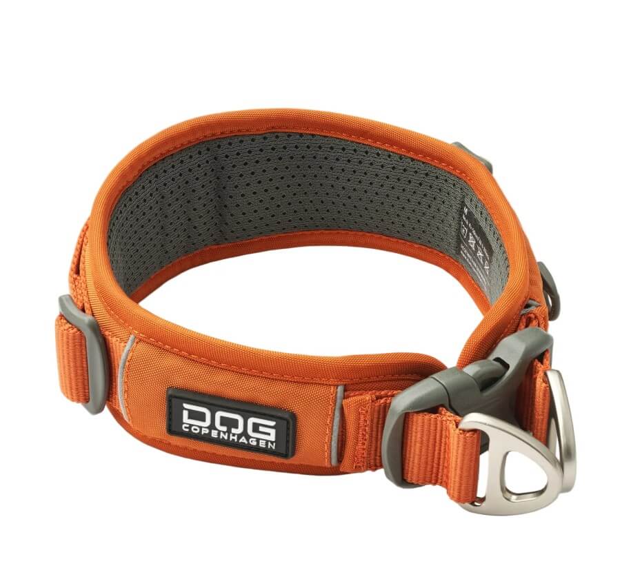 Dog Copenhagen Urban Explorer halsband orange – vadderat och slitstarkt hundhalsband med reflex och säkerhetsspänne
