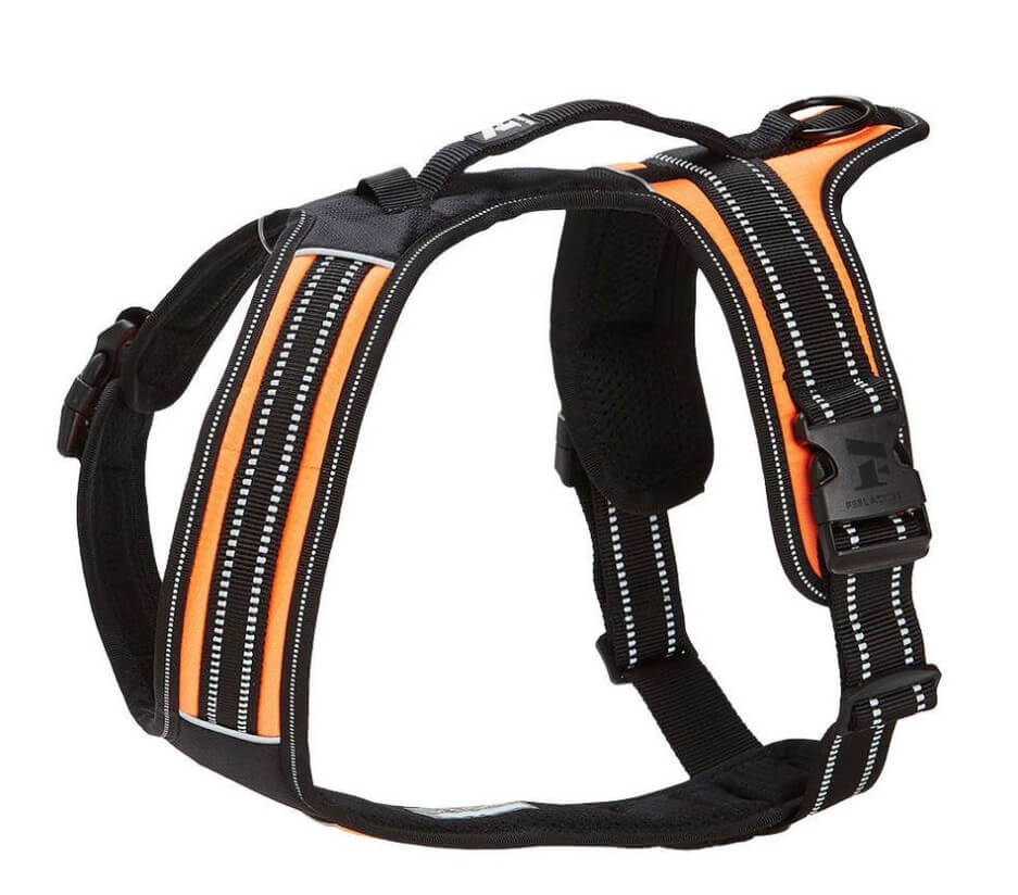 Feel Active Sport Sele orange hundsele med handtag och reflexdetaljer