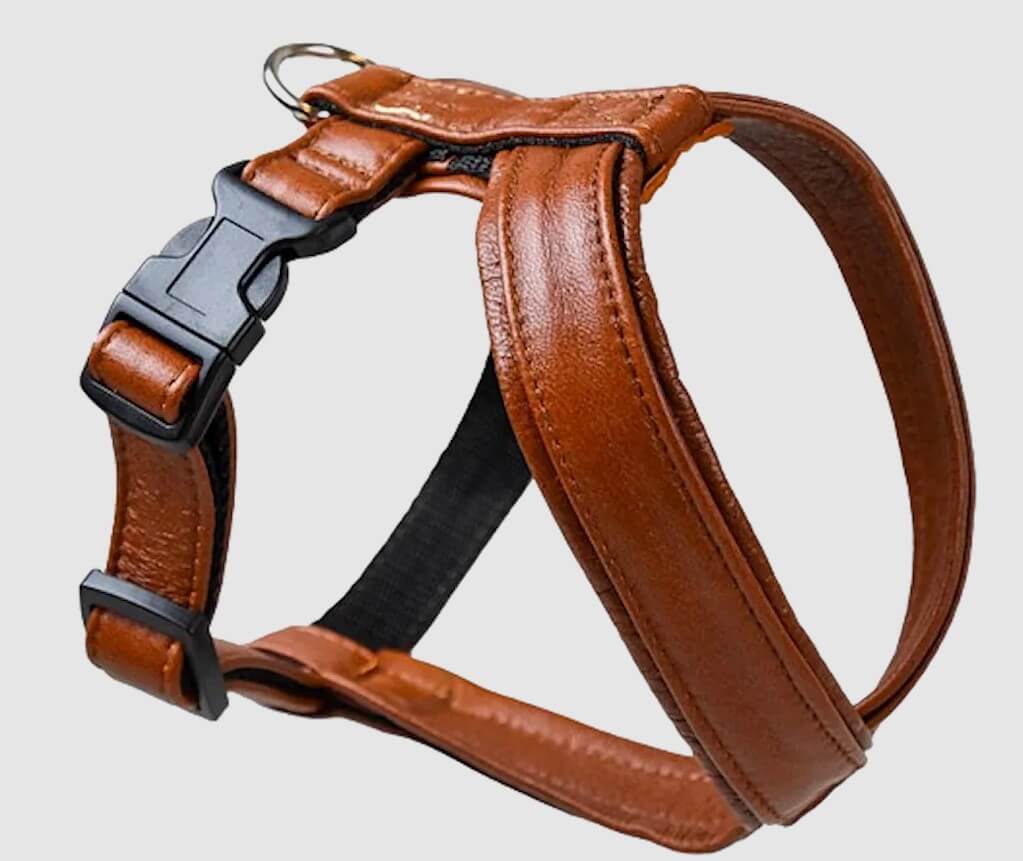 Hundsele Pro Cognac, brun lädersele med mjuk vaddering